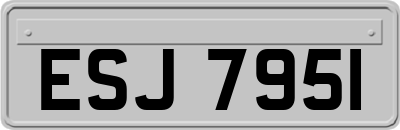 ESJ7951