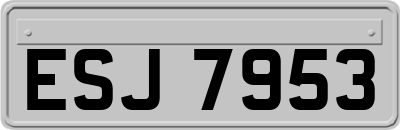 ESJ7953
