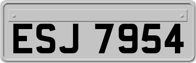 ESJ7954
