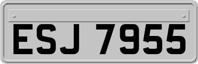 ESJ7955