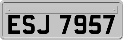ESJ7957