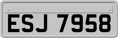 ESJ7958