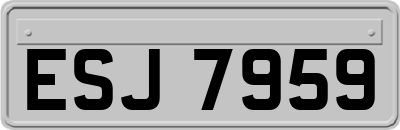 ESJ7959