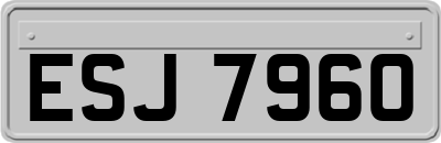 ESJ7960