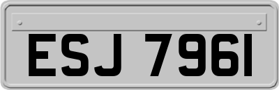 ESJ7961
