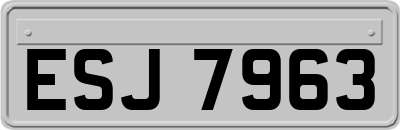 ESJ7963