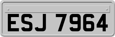 ESJ7964