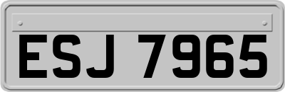 ESJ7965