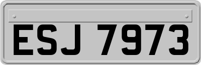 ESJ7973