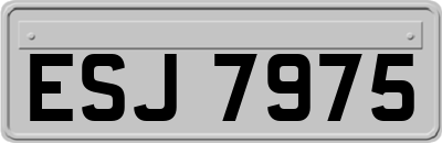 ESJ7975