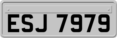ESJ7979