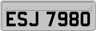ESJ7980