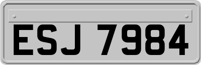 ESJ7984
