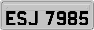 ESJ7985