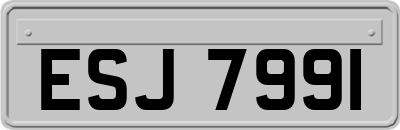 ESJ7991