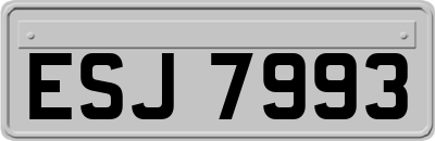 ESJ7993