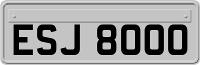 ESJ8000