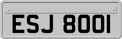 ESJ8001