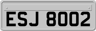 ESJ8002