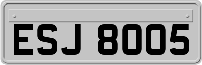 ESJ8005
