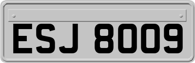 ESJ8009