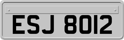 ESJ8012