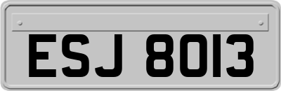 ESJ8013