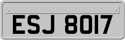 ESJ8017