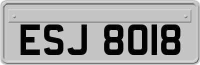 ESJ8018