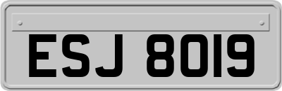 ESJ8019