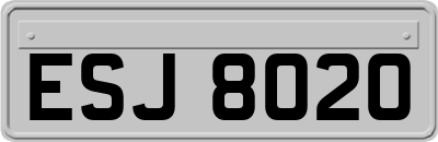 ESJ8020
