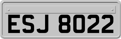ESJ8022