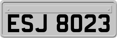 ESJ8023