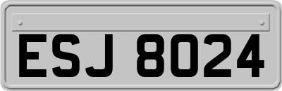 ESJ8024