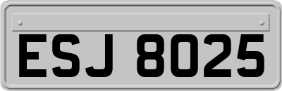 ESJ8025