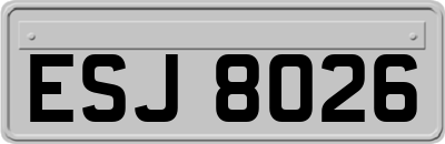 ESJ8026