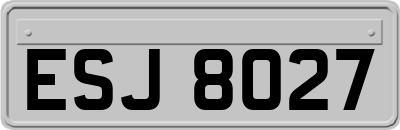 ESJ8027