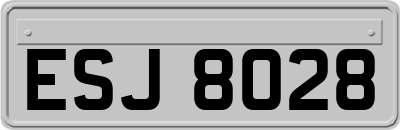 ESJ8028