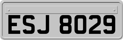 ESJ8029