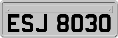 ESJ8030