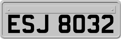 ESJ8032