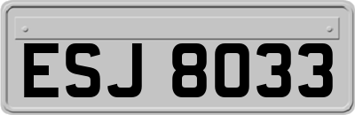 ESJ8033