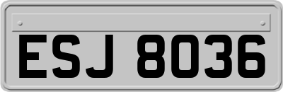 ESJ8036