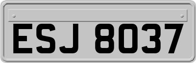 ESJ8037