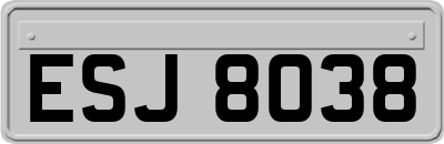 ESJ8038