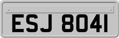 ESJ8041