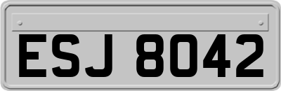 ESJ8042