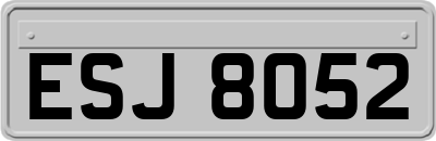 ESJ8052
