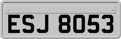 ESJ8053