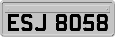 ESJ8058